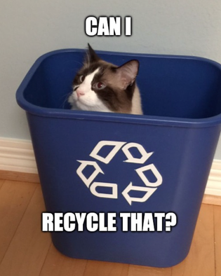  CAN I RECYCLE THAT?