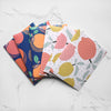 Fruit Fiesta Euro Flap Envelopes - Set of 6
